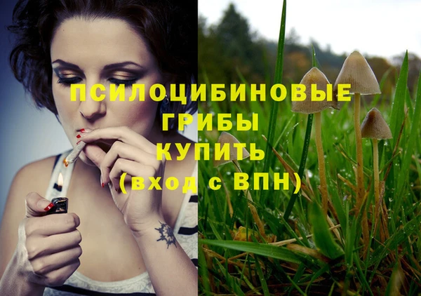 мдма Новозыбков