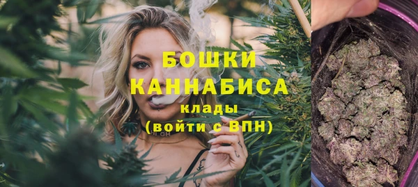 тгк Новодвинск