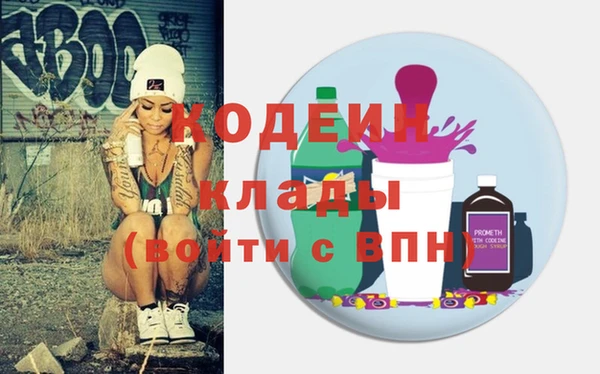 бошки Няндома