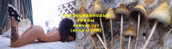 бошки Няндома