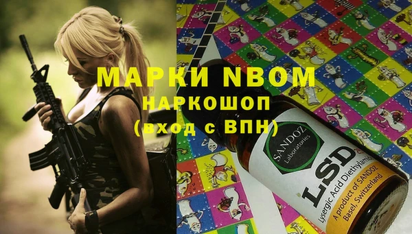 бошки Няндома